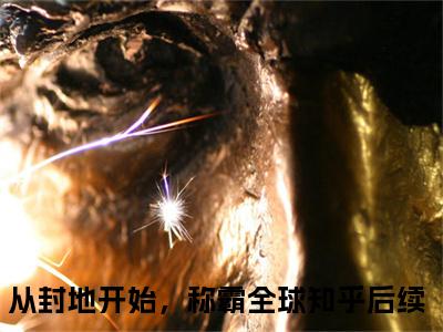 从封地开始，称霸全球全文（罗艺小说）全文免费阅读无弹窗大结局_从封地开始，称霸全球免费最新章节列表_笔趣阁（罗艺小说）