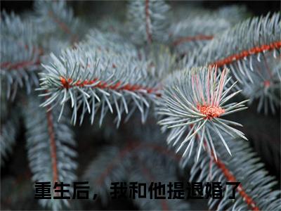 温慕月季战珩在线阅读（重生后，我和他提退婚了）全文免费阅读无弹窗大结局_重生后，我和他提退婚了最新章节列表笔趣阁（温慕月季战珩）