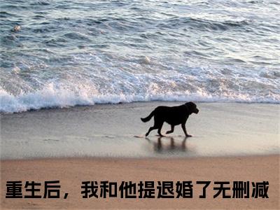 重生后，我和他提退婚了快手小说（温慕月季战珩）txt阅读大结局-抖音近期热门重生后，我和他提退婚了全文免费