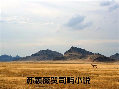 苏颖薇贺司屿全文(苏颖薇贺司屿)全文免费阅读无弹窗大结局_(苏颖薇贺司屿全文免费阅读全文大结局)苏颖薇贺司屿最新章节列表_笔趣阁（苏颖薇贺司屿全文）