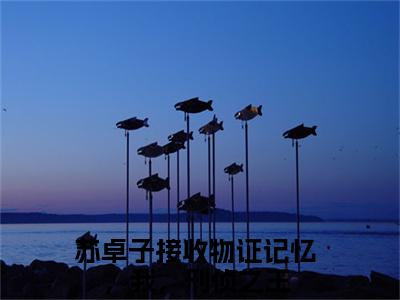接收物证记忆，我，刑侦之王阅读无弹窗大结局_（苏卓子阅读无弹窗）最新章节列表_笔趣阁（苏卓子）
