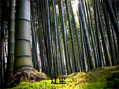 王者：人在直播，教练让我上场（江尘）小说全文-王者：人在直播，教练让我上场小说免费阅读大结局