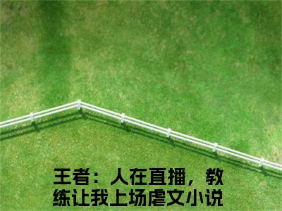 （热推新书）《江尘》全文免费阅读无弹窗大结局_王者：人在直播，教练让我上场无弹窗全文阅读