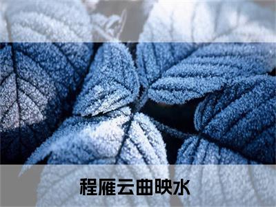 程雁云曲映水小说免费阅读全文在线阅读,一面之缘的小说在线阅读全文