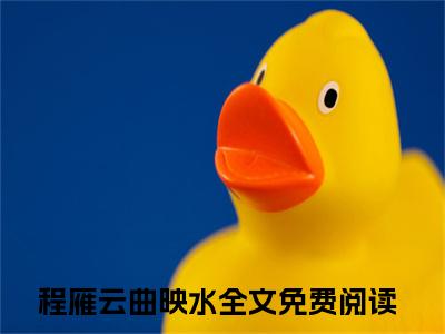程雁云曲映水热门榜单小说 一面之缘完本小说无弹窗免费阅读