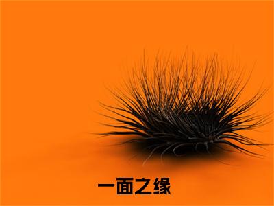 一面之缘全文免费阅读（程雁云曲映水小说）全文免费阅读无弹窗大结局_(一面之缘程雁云曲映水小说小说免费阅读)最新章节列表_（一面之缘）