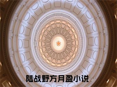精选小说（陆战野方月盈）全本阅读-陆战野方月盈免费阅读-笔趣阁（陆战野方月盈）