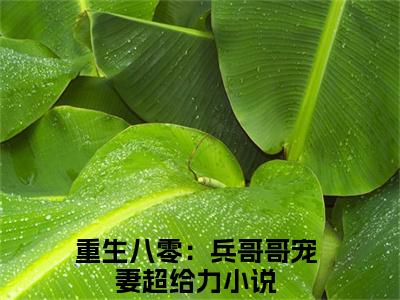重生八零：兵哥哥宠妻超给力最新章节（迟晟霖谢欣岚）全文免费阅读无弹窗大结局_迟晟霖谢欣岚免费阅读（重生八零：兵哥哥宠妻超给力）