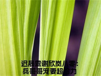 迟晟霖谢欣岚（八零：兵哥哥宠妻超给力）全文免费阅读无弹窗大结局_迟晟霖谢欣岚最新章节列表（八零：兵哥哥宠妻超给力）
