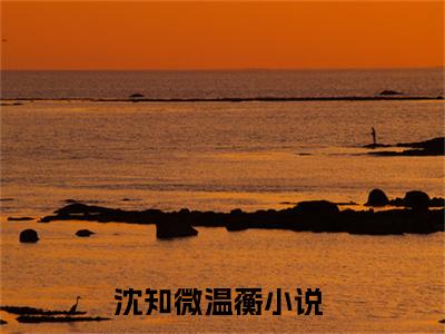 好看的小说推荐沈知微温蘅 沈知微温蘅全文试读免费大结局