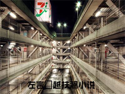 左言彧越扶澜（左言彧越扶澜）全文免费阅读无弹窗_左言彧越扶澜最新小说_笔趣阁（左言彧越扶澜）