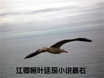 （江卿婉叶廷琛）是什么小说-（江卿婉叶廷琛）无弹窗免费阅读大结局最新章节列表_笔趣阁