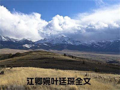 江卿婉叶廷琛（江卿婉叶廷琛）全文免费阅读无弹窗_江卿婉叶廷琛最新小说_笔趣阁（江卿婉叶廷琛）