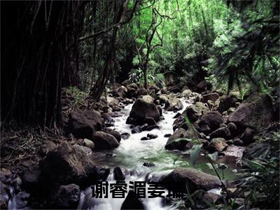 抖音热推新书谢睿湄姜瑞-抖音热推谢睿湄姜瑞无弹窗阅读