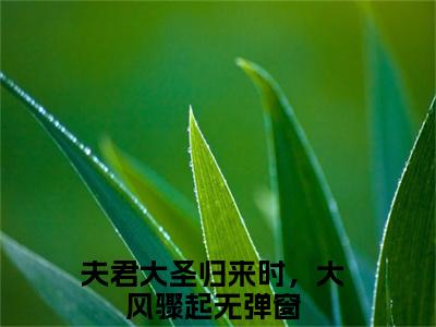 夫君大圣归来时，大风骤起（萧玄央谢簪缨）全文免费阅读-(萧玄央谢簪缨小说)夫君大圣归来时，大风骤起最新章节列表_笔趣阁（萧玄央谢簪缨）