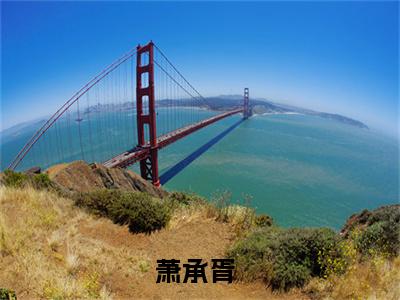 萧承胥（与你相识的结尾以一国换一负心人）萧承胥笔趣阁免费小说_萧承胥笔趣阁全文阅读