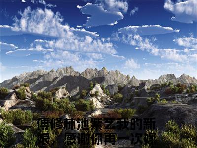 我的新娘，感谢你再一次嫁给了我全文免费阅读（傅修林池紫艺免费阅读无弹窗）我的新娘，感谢你再一次嫁给了我最新章节列表_笔趣阁