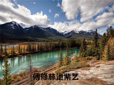 我的新娘，感谢你再一次嫁给了我傅修林池紫艺全文完整版-傅修林池紫艺小说在线阅读