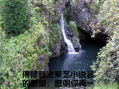 傅修林池紫艺全文免费阅读_（我的新娘，感谢你再一次嫁给了我免费阅读无弹窗）傅修林池紫艺最新章节在线阅读笔趣阁