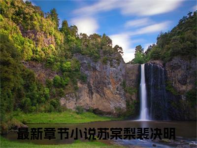 苏棠梨裴决明的书名 苏棠梨裴决明免费章节阅读