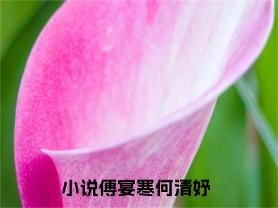 傅宴寒何清妤(傅宴寒何清妤)小说最新章节免费阅读_ 傅宴寒何清妤免费阅读无弹窗最新章节列表_笔趣阁