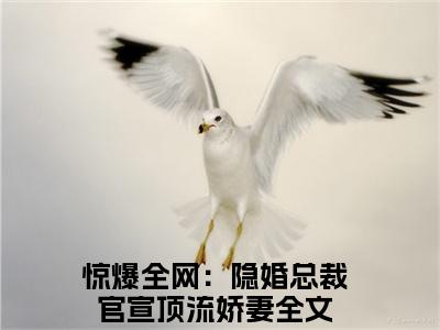 许安生酆泊夷(惊爆全网：隐婚总裁官宣顶流娇妻)全文免费阅读无弹窗大结局_ (许安生酆泊夷)免费阅读无弹窗最新章节列表_笔趣阁
