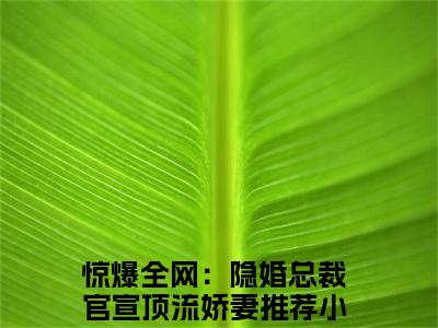 惊爆全网：隐婚总裁官宣顶流娇妻（惊爆全网：隐婚总裁官宣顶流娇妻）小说在线阅读_惊爆全网：隐婚总裁官宣顶流娇妻全本免费小说阅读（许安生酆泊夷）