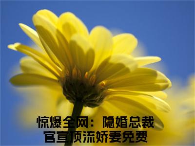 许安生酆泊夷（惊爆全网：隐婚总裁官宣顶流娇妻）正版小说最新章节在线阅读-老书虫推荐许安生酆泊夷小说