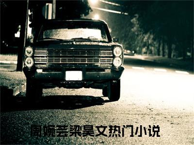 (热推新书)周婉芸梁昊文完整版免费小说无弹窗阅读_周婉芸梁昊文最新章节列表_笔趣阁（周婉芸梁昊文）