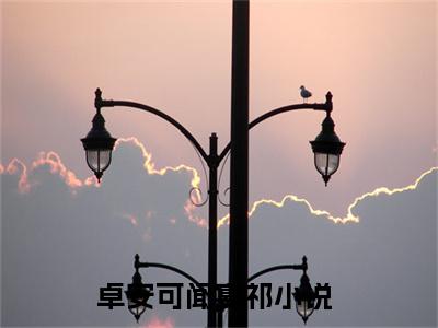 卓安可闻宴祁（卓安可闻宴祁全文免费）小说全文免费阅读无弹窗大结局_（卓安可闻宴祁）最新章节列表（卓安可闻宴祁后续）