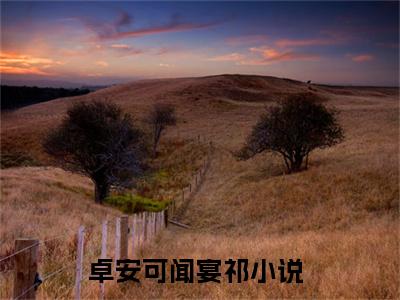 卓安可闻宴祁全文免费阅读无弹窗大结局-卓安可闻宴祁川在线阅读