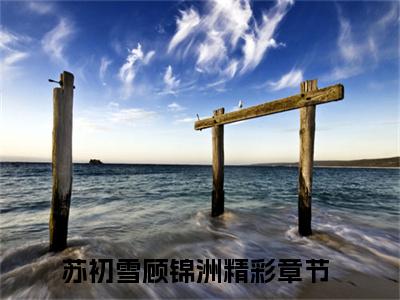 苏初雪顾锦洲小说免费阅读 苏初雪顾锦洲免费阅读无广告