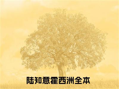 陆知意霍西洲（悲欢可敬）全文免费阅读无弹窗_（悲欢可敬的小说全文免费阅读）陆知意霍西洲小说最新章节列表无删减_笔趣阁