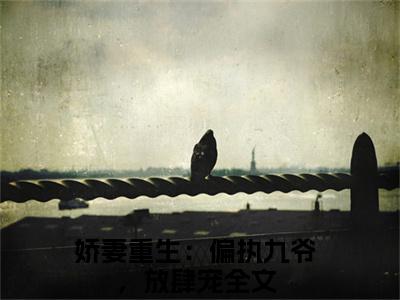 时晚席锦年（娇妻重生：偏执九爷，放肆宠）新上热文小说全文免费阅读-小说（娇妻重生：偏执九爷，放肆宠）完整版阅读