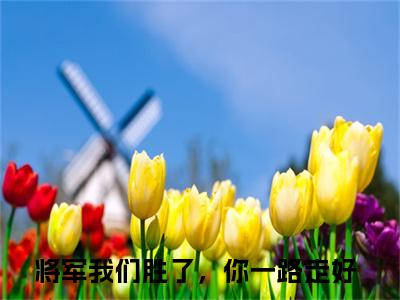 叶云曦江辞舟（将军我们胜了，你一路走好小说）全文免费阅读无弹窗大结局_将军我们胜了，你一路走好小说免费阅读-笔趣阁
