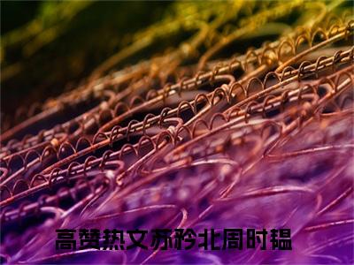 苏矜北周时韫（苏矜北周时韫）完整版小说免费阅读全文-苏矜北周时韫最新在线阅读