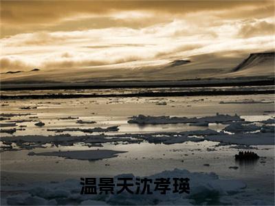 温景天沈孝瑛（温景天沈孝瑛）全文免费阅读无弹窗大结局_温景天沈孝瑛在线阅读（温景天沈孝瑛）