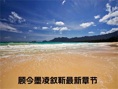 顾今墨凌叙靳是哪部小说的主角-《顾今墨凌叙靳》全文无弹窗完整版阅读