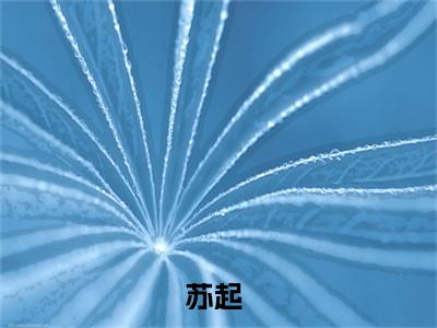 开局点满气运，我苟到无敌了小说限时免费,苏起完结版小说阅读无弹窗_笔趣阁