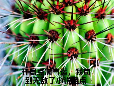 开局点满气运，我苟到无敌了免费完结小说-苏起（开局点满气运，我苟到无敌了）在线阅读全文（开局点满气运，我苟到无敌了）
