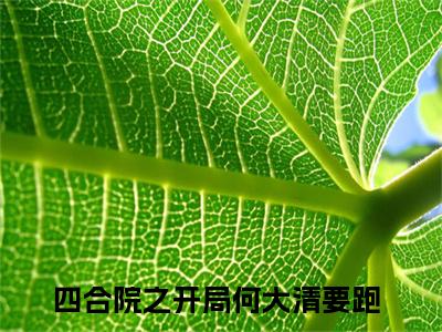 何雨柱小说（四合院之开局何大清要跑）全文免费阅读无弹窗大结局_何雨柱最新章节在线阅读_笔趣阁