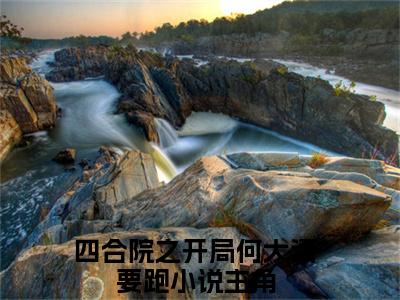 四合院之开局何大清要跑小说（何雨柱）全文免费阅读无弹窗大结局_（何雨柱）四合院之开局何大清要跑最新章节列表（何雨柱）