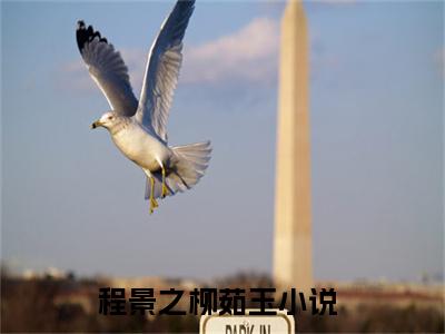 （程景之柳茹玉）是什么小说-（程景之柳茹玉）无弹窗免费阅读大结局最新章节列表_笔趣阁