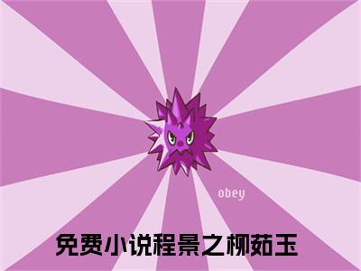 程景之柳茹玉小说免费阅读（程景之柳茹玉）全文免费阅读无弹窗大结局_程景之柳茹玉小说免费阅读最新章节列表_笔趣阁（程景之柳茹玉）