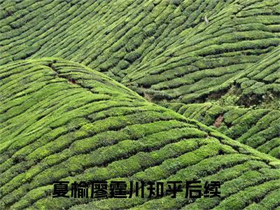 夏榆廖霆川小说在哪里可以看夏榆廖霆川在线阅读