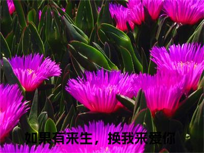 明颜周远之小说（如果有来生，换我来爱你）全文免费阅读无弹窗大结局_如果有来生，换我来爱你小说最新章节列表_笔趣阁（明颜周远之）