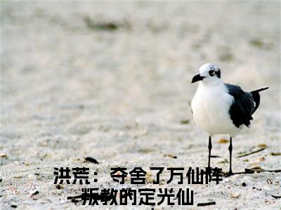 主角是王轩的小说全文免费阅读无弹窗大结局-《洪荒：夺舍了万仙阵叛教的定光仙》完整章节阅读
