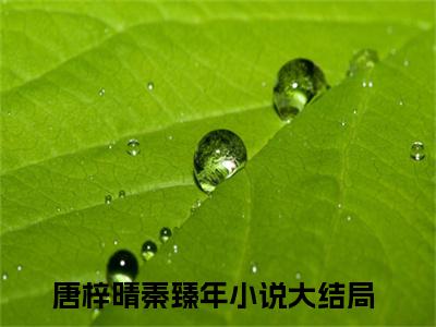 唐梓晴秦臻年（唐梓晴秦臻年）最新章节阅读-（唐梓晴秦臻年）免费阅读大结局无弹窗
