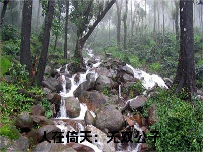 人在倚天：无双公子全文免费免费阅读无弹窗最新章节列表_笔趣阁（张无双全文免费）