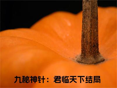 嬴焕全文免费阅读无弹窗大结局_（嬴焕小说）九秘神针：君临天下在线免费阅读